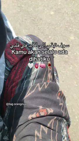 Tag orangnya ? #syaircinta #arabic #syairarab #quotes #arabicsong 