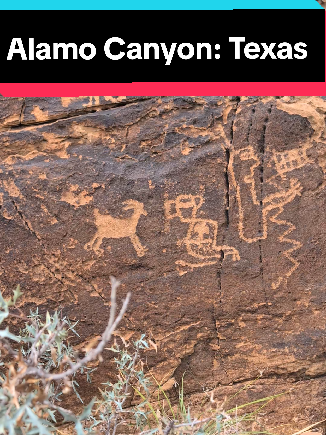 one of the most extensive rock art sites in Texas. over 500 native American images spanning over 4000 years of human history #texas #rockart #native #travel #Hiking 