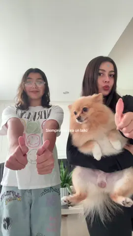 @M #perrijo#hermana#trend#fypage