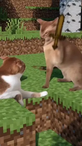 #Minecraft #michigan #Cat