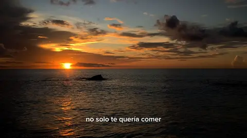 pero fuí tu fantasma #verano #atardecer #playa #jhayco 