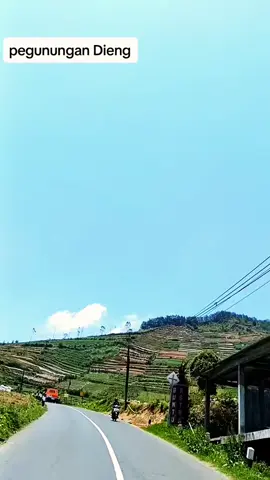 bowo styo tuhu #lagujawa #lanagiri #palaran #padahariini 