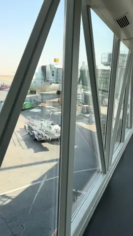 🤣🤣❤️❤️ #fyp #Hail #لندن🇬🇧  