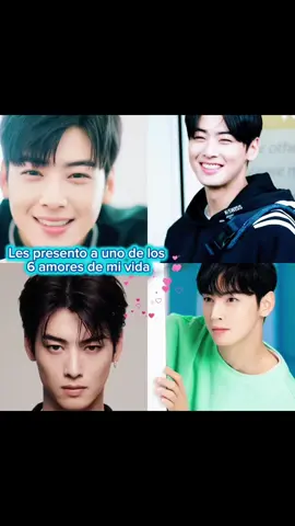 Para todas las baby arohas, es tiempo de presentarles a astro, quien es astro? Vamos en orden descendente, por lo que toca el turno de nuestro amado principe Cha eunwoo, Nunu para las arohas, así que quédense hasta el final@ASTRO 아스트로 #KPop#astrokpop#chaeunwooastro #chaeunwoo #aroha