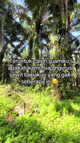 #fyppppppppppppppppppppppp #petanimuda #sawitriau #