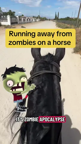 You’re running away from zombies on a horse. What’s your best strategy? Canter or trot? Watch the video to find out #horse #trailriding #arabian #stallion #zombie 