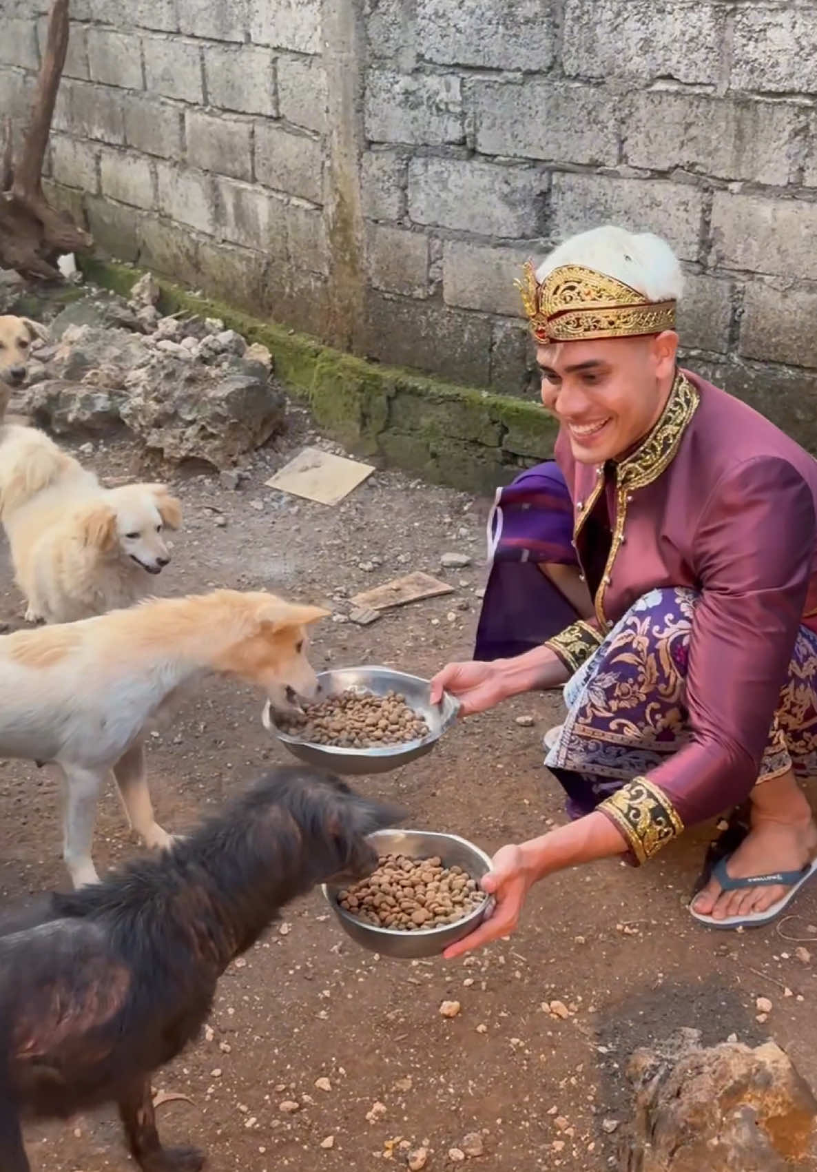 Berikanlah makan pada anjing selama 3 hari maka dia akan mengingatmu selama 3 tahun.  Memberi makan pada manusia selama 3 tahun dia bisa lupa dalam 3 hari.  Ini filosofi bukan tentang anjing. #aisarkhaledd #balishanditours #supirbali #transportbali #fyp  