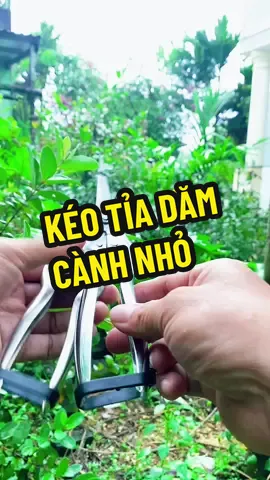 Kéo cắt cành, tỉa dăm thép trắng, làm vườn, tạo tác Bonsai #dungculamvuon #captroncapxeo #cuagapgon #keotiadam #dungcubonsai 