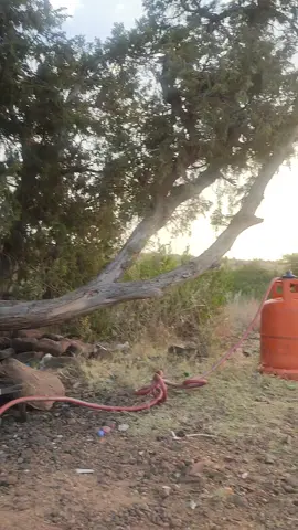 Saudi #Arabia #abha #khamis ##mushait #life is beautiful 💐☘️🇵🇰🇸🇦❤️