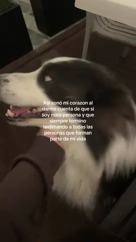 🐾