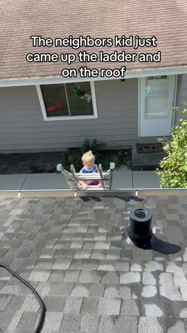 Best helper, I had in a long time 