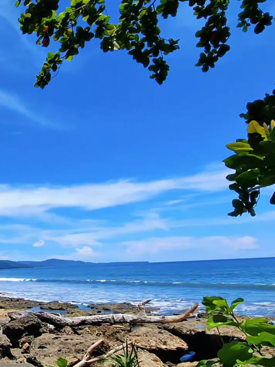 Lupa Kalau ini di Pantai 😁 📍Pantai Amban, Kab. Manokwari, Papua Barat.  . . . #views #pantai #fypage #manokwari_papuabarat #indonesia🇮🇩 