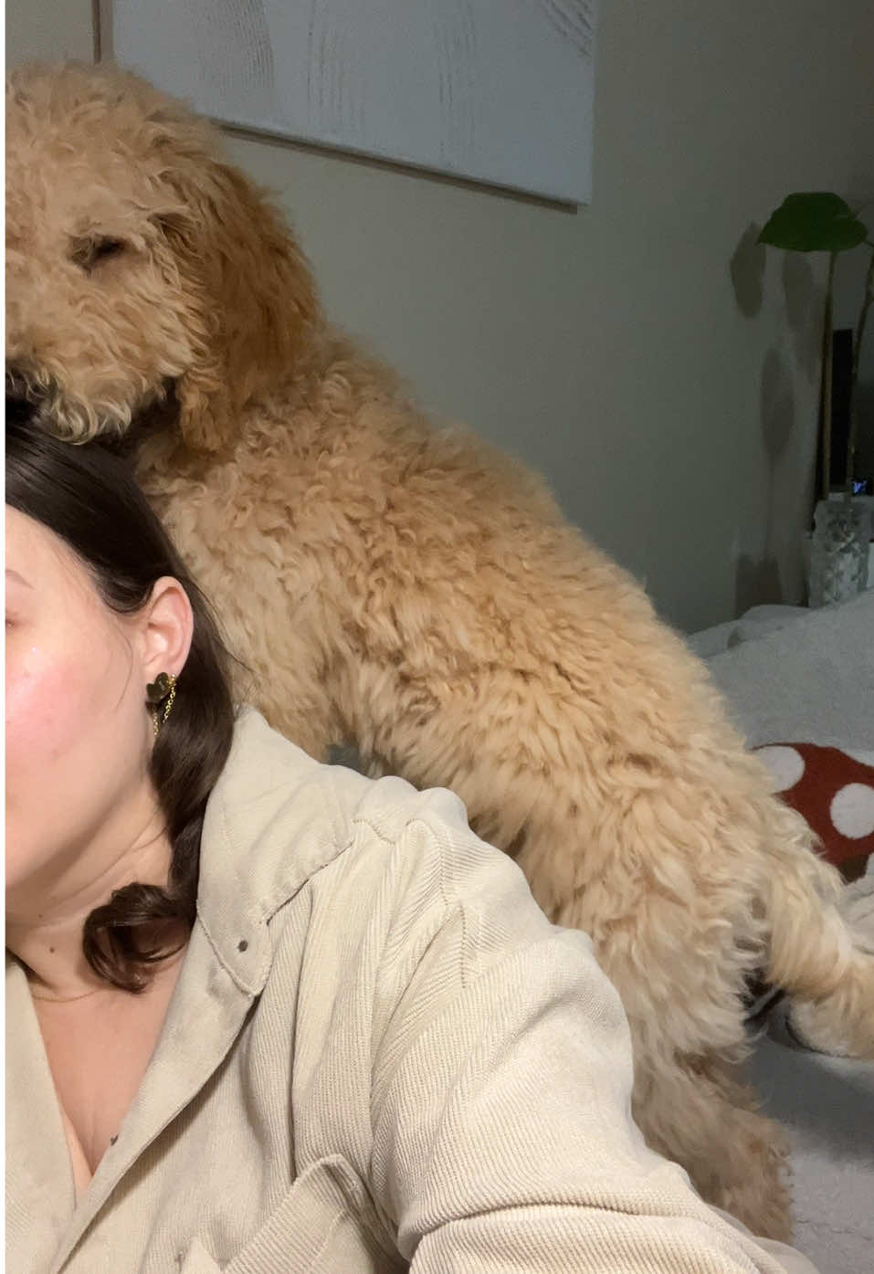 Mil temas en un solo video, estoy en FaceTime con ustedes 🤣 #Vlog #goldendoodle