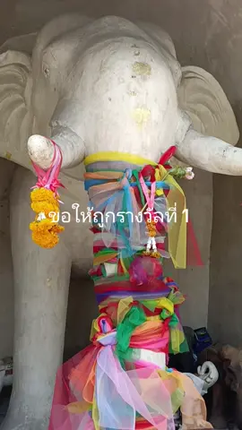 ช้างเผือก