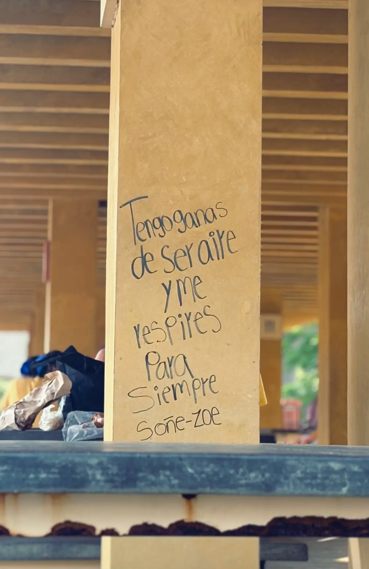 #zoe#amor #novios #fyp 