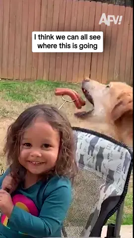 Dog came in hot for the hot dogs 🌭 #afv #fail #funny