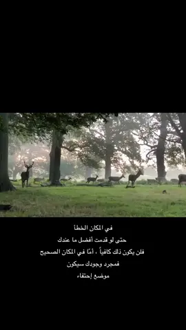 #اكسبلورexplore 😍