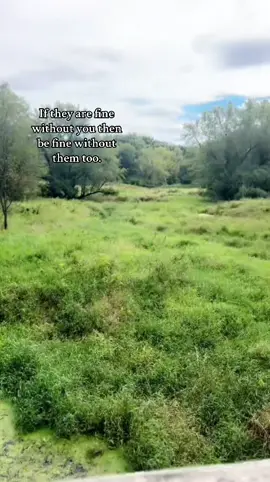 much better #wisconsin #fyp #fypシ #relatable #singletiktok 