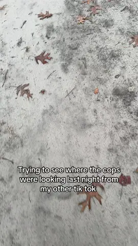 #followup #police #woods 