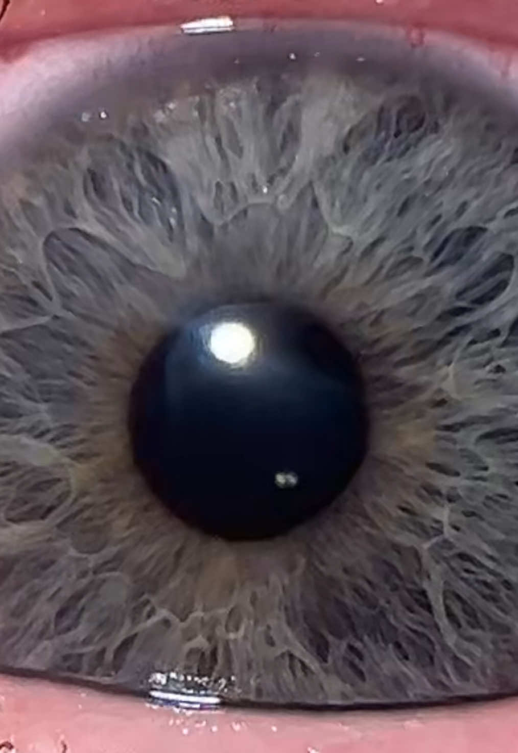 Rude how much prettier his eyes are #eyetrend #eyetransition #oceaneyes #blueeyes 