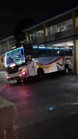 miyeng miyengg sesss 🚀🐬🤙 #sumbergroup #sumberselamat #sugengrahayu #yudex #masukberanda 