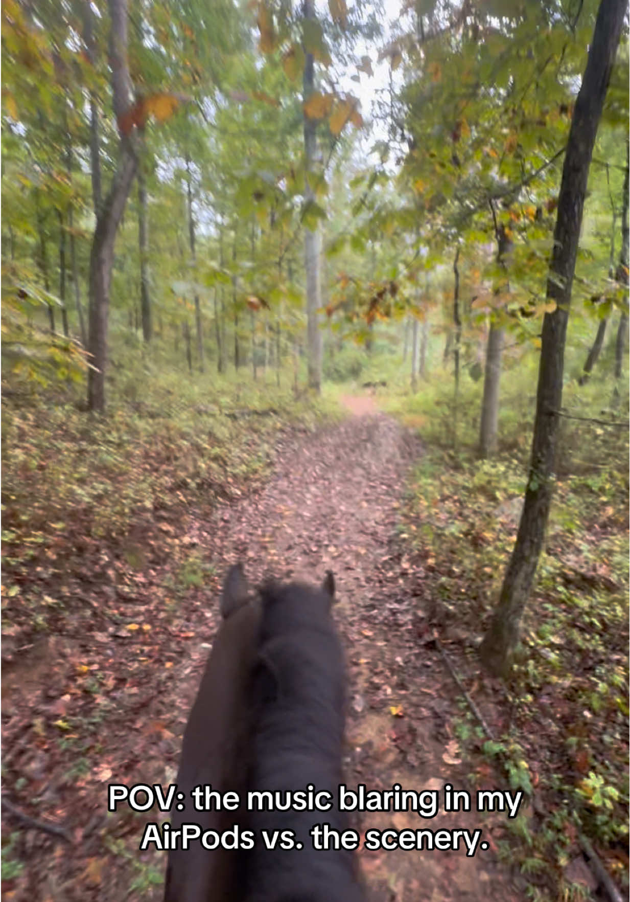 It’s called taste.  #ottb #horsesoftiktok #equestrian #horsegirl #horsetok 