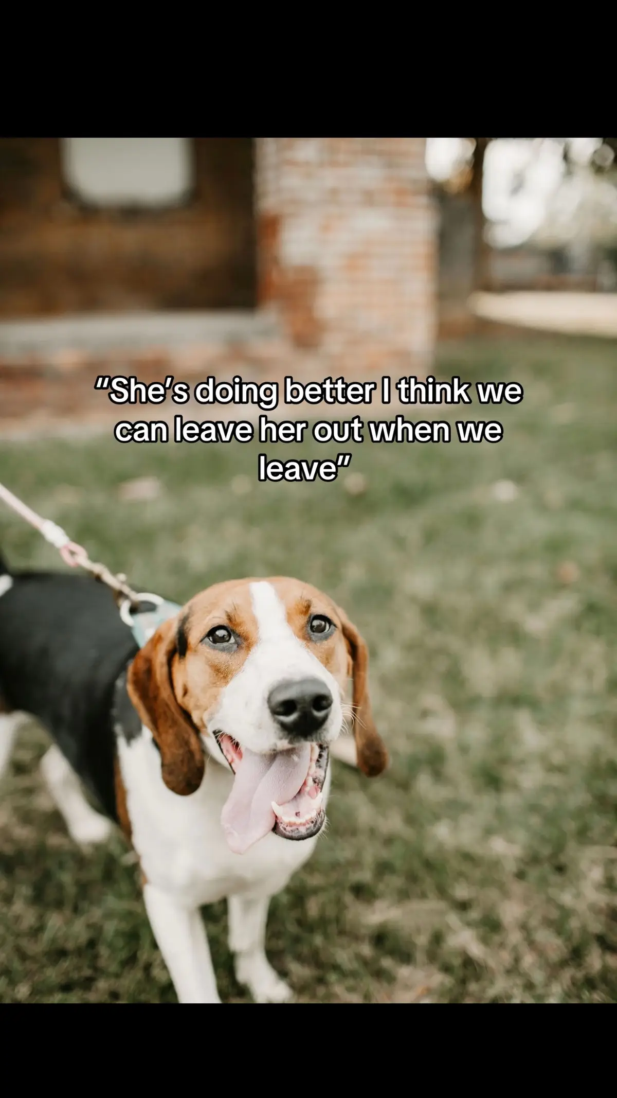 She’s the reason I had to get a whole new one 