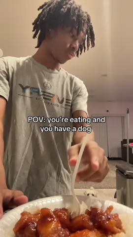 please let me eat in peaceeee #dogs #relatable #pov #funny #makefamous 