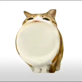 #meowl #meowlfam #fyp #fyppppppppppppppppppppppp #fypage 