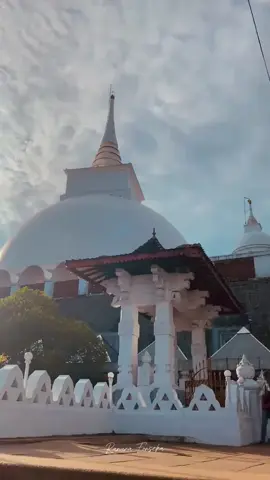Part 62 කලුතර බෝ සමිදුන්🙏🥰🤍🍃 #vairlvideo #100kviews #කලුතර_බෝධිය #fypシ #kaluthara 