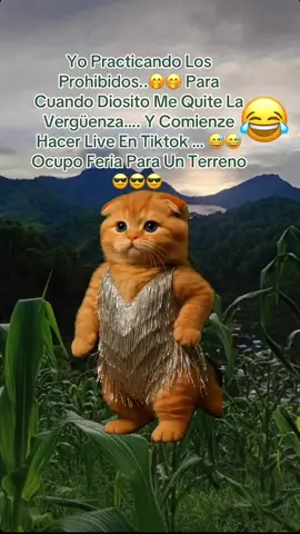 Practicando los Prohibidos …. Por Si Mi Aguinaldo … No Me Alcanza 🤣🤣🤭🤭🤭🤭 #Meme #MemeCut #PanqueFlo #Paratiii #CapCut 