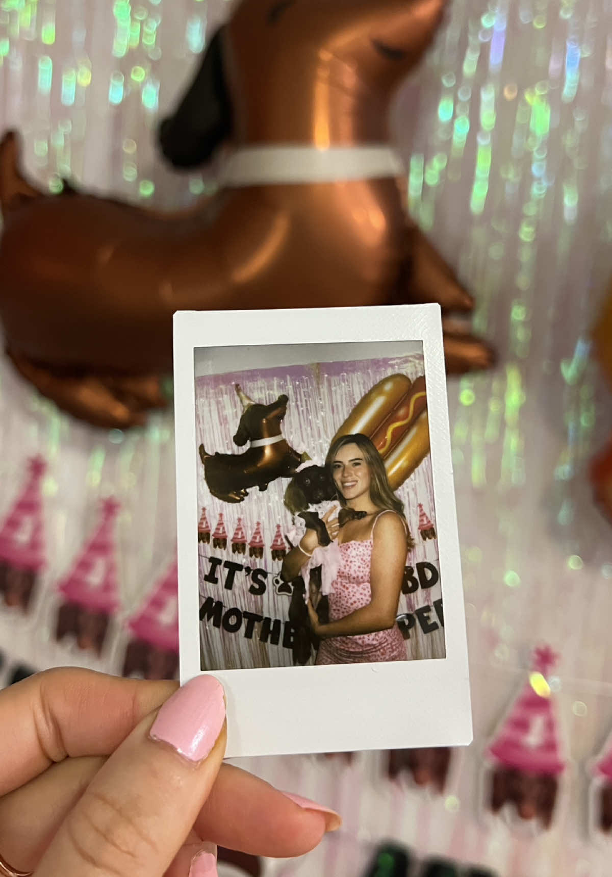 Feliz cumpleaños a mi bebé salchicha 😍💖 siento que dejó de crecer desde los 4 meses 🤭🌭✨ te amo eres la mejor salchichita del mundo 🥰 @Panela Mini Dachshund 
