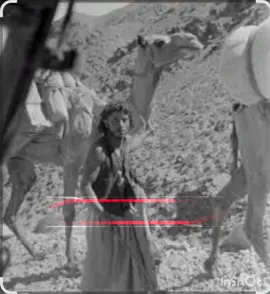 قصه قديمه روعه اسمع للاخير  #ياهروبيات_غنن_لمقبل_ذي_طرح_راسه_وضم_الوداعه #خولان_الطيال_بني_ضبيان #قصه_قديمه