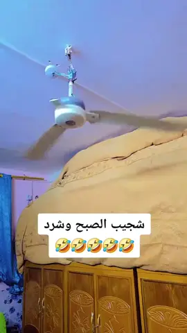 بعد ماروح لنسابتي الروح عزيزه 🐯😂