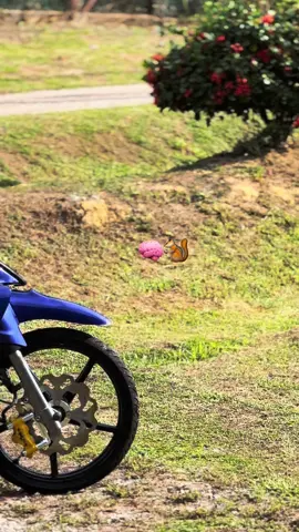 luncuss🐿️#125zr_loverz #birurobot💙🥷🏻 #125zr #fyppppppppppppppppppppppp #125zrmalaysia🇲🇾 