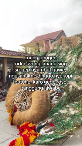 #boloreog #storyreog #fyp 