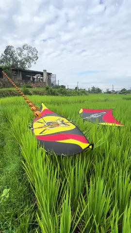 Rướ quả quả đèn này cũng đau đầu #dieu_sao_que_huong #diều_sáo_việt_nam #diều_sáo_thái_nguyên 