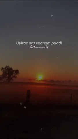 ♥️💫 #thulliyezhundhadhupaathu #ilayaraja #ilayarajavoice #whatsapptamilstatus #lunadesolate 