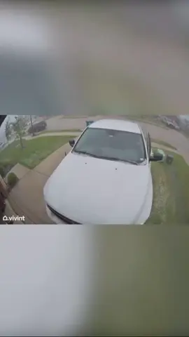 Caught on Camera What the HAIL shorts_mobile #doorbellcamera #viral 