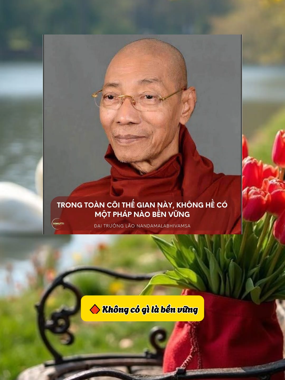 TRONG TOÀN CÕI THẾ GIAN NÀY, KHÔNG HỀ CÓ MỘT PHÁP NÀO BỀN VỮNG - ĐẠI TRƯỞNG LÃO NANDAMALABHIVAMSA - #nuoiduongbodetam #chiasephap #chiasephapphat