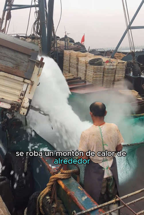 Cómo los barcos pesqueros se mantienen fríos sin frigoríficos#DidYouKnow #LearnOnTikTok #foru #usa 