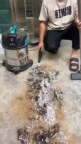 Máy hút bụi to dùng điện KUSHIMA dung tích 15L tiện dụng trong gia đình #xuhuongtiktok #mayhutbui #mayhutbuicamtay #mayhutbuikhongday #mayhutbuicongnghiep 