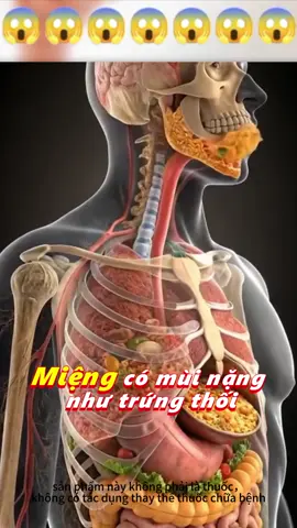 Miệng có mùi nặng như trứng thối， trong ruột như tích trữ tới hơn 10kg chất thải