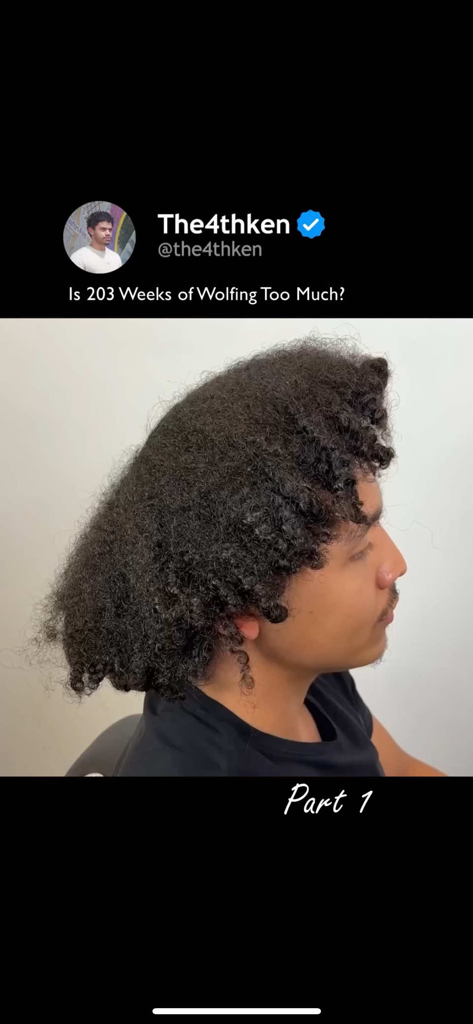 Is 203 Weeks of Wolfing Too Much? Part 1 #curlyhair #hair 
