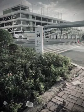 没有人給你指路，走之前必須仔細看看。 沒有人在背後支持你，即使困難也絕對不要放棄！ Đường phía trước không ai chỉ lối, nhất định phải nhìn thật kĩ rồi hãy bước đi. Phía sau không người chống lưng, nên tuyệt đối không được gục ngã dù khó khăn….!!