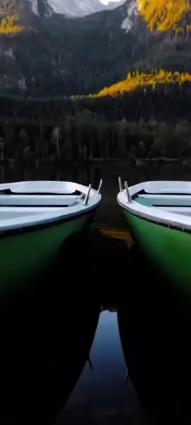 #fyppppppppppppppppppppppp 