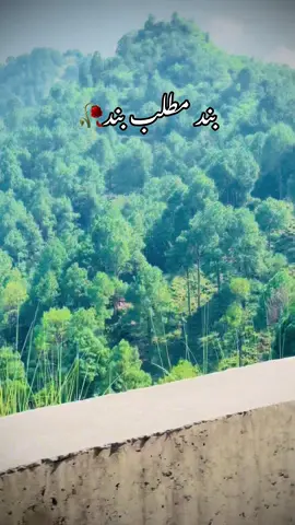 #kotliajk🇬🇧🇵🇰 