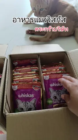 อาหารแมวเปียก#อาหารแมวเปียก #วิสกัสอาหารแมว #TTSร้านใหม่ลดแรง #แก้วจ๋า_พารีวิว #ช้อปกันวันเงินออก 
