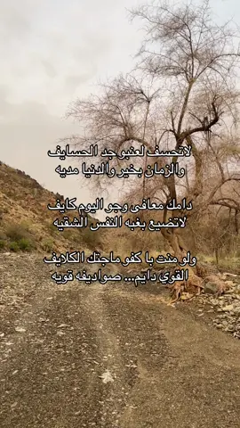 #شعر #قصيد #اكسبلووور #عشوائيات #fypシ゚ #tiktokindia 