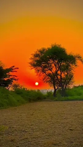 View ❤️🥀👀#pindawale #foryoupage #tiktokpakistan #1millionaudition #communitytiktok 